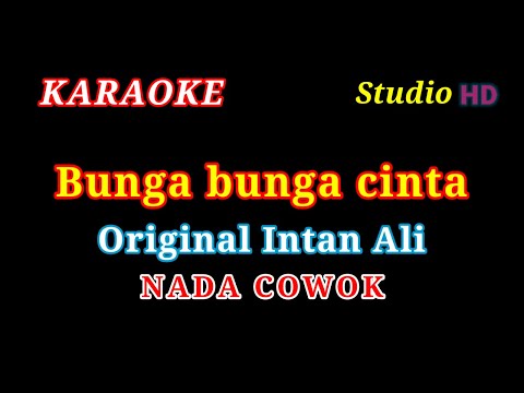 BUNGA BUNGA CINTA // KARAOKE NADA COWOK // Original Intan Ali