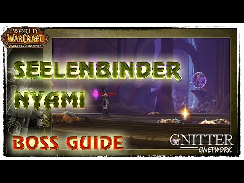 Seelenbinder Nyami  - Auchindoun Guide