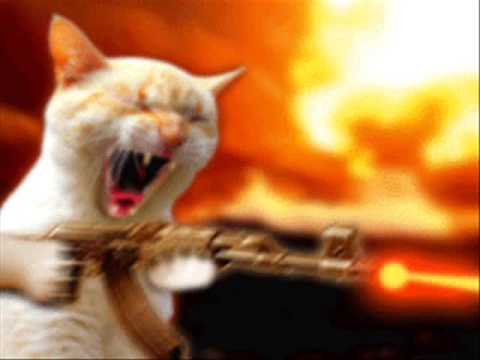 mc maiquinho vo cv medley