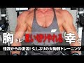 【大胸筋】久しぶりの胸トレ 思い切りやれる幸せ【怪我からの復活!】