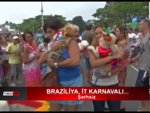Braziliya? it karnavalı... şərhsiz
