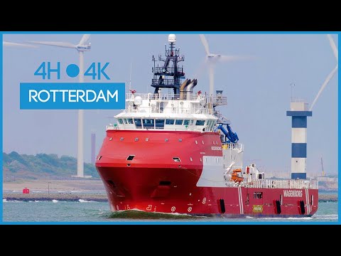 4H Hook of Holland - Ship Spotting 4K