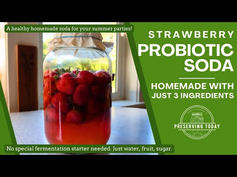 Strawberry Probiotic Soda | Wild Fermented Soda Made at Home