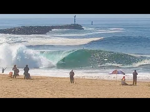 The Wedge is GOING OFF and Perfect !!! - Spring 2025