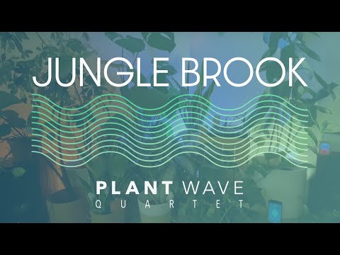PlantWave Quartet - Jungle Brook - 528hz Plant Music (48 minutes)