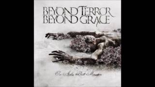 Beyond Terror Beyond Grace - Our Ashes Built Mountains (2010) Full Album HQ (Grindcore)