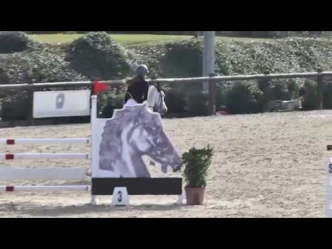 MARTA VIAGGI E GAME BOY - A5 CRESCITA TECNICA - HORSES RIVIERA - 30\01\16 BEST RIDER C115 BARRAGE