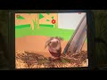 Baby MacDonald A Day On The Farm 2011 60fps