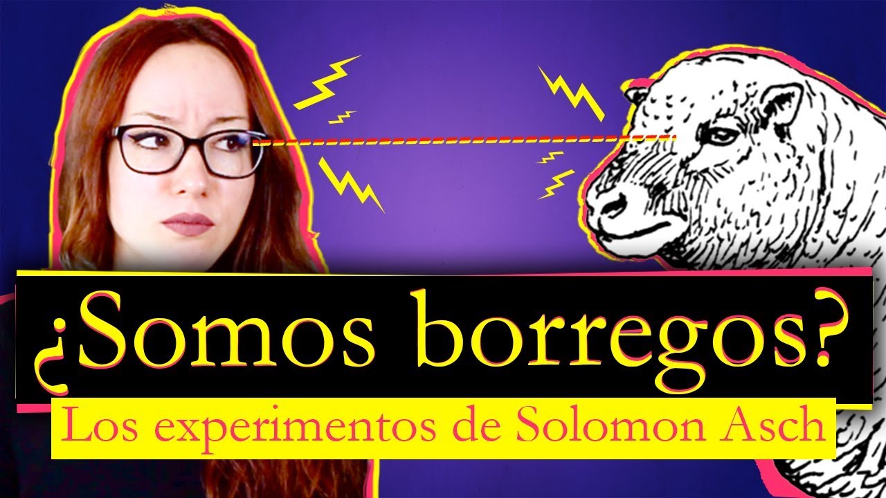 ¿SOMOS BORREGOS? | Los experimentos de Solomon Asch
