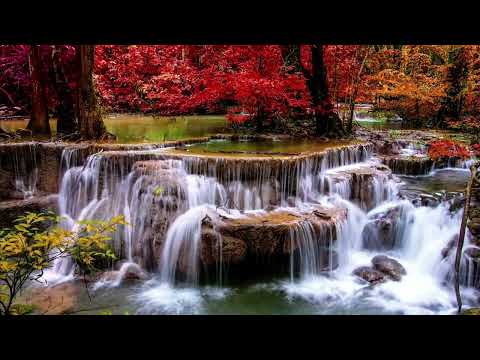 Water Fall relax music,relax music,relax soothing Music,ZF Relax music X relax music Live