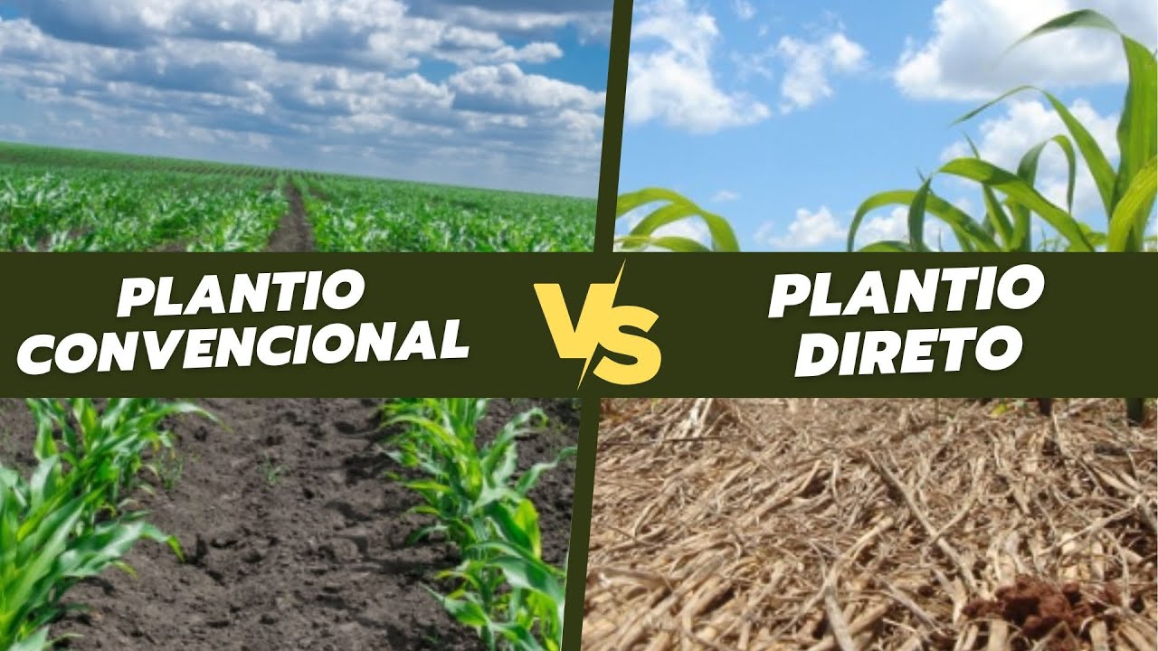 PLANTIO CONVENCIONAL X PLANTIO DIRETO | PRÓS, CONTRAS E PRINCIPAIS DIFERENÇAS