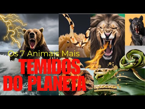OS 7 ANIMAIS MAIS TEMIDOS DO PLANETA