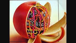 Ryo Kawasaki - "Bamboo Child"