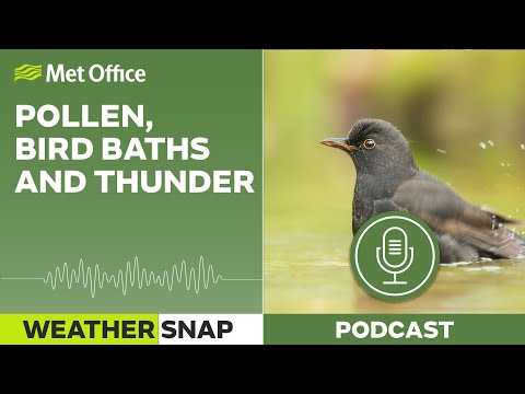 Pollen, bird baths and thunder – 16/06/2023 – Weather Snap podcast – Met Office weather UK