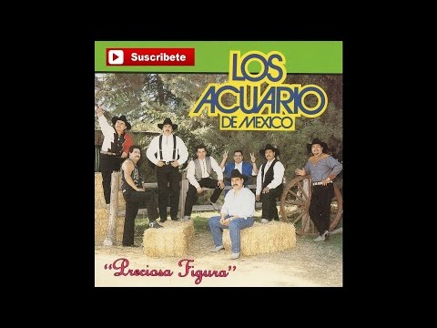 Los Acuario De Mexico - La Suegra Y La Nuera [Official Audio]