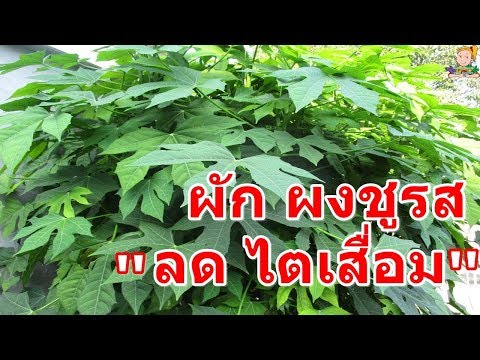 ยาสำหรับความอ่อนแอหลังจาก 50 การฝึกอบรมเพื่อเพิ่มความแข็งแรง