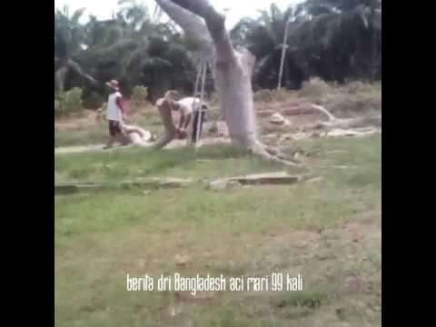 Gejala pertama dari impotensi Kapsul untuk potensi dan kekuasaan laki-laki