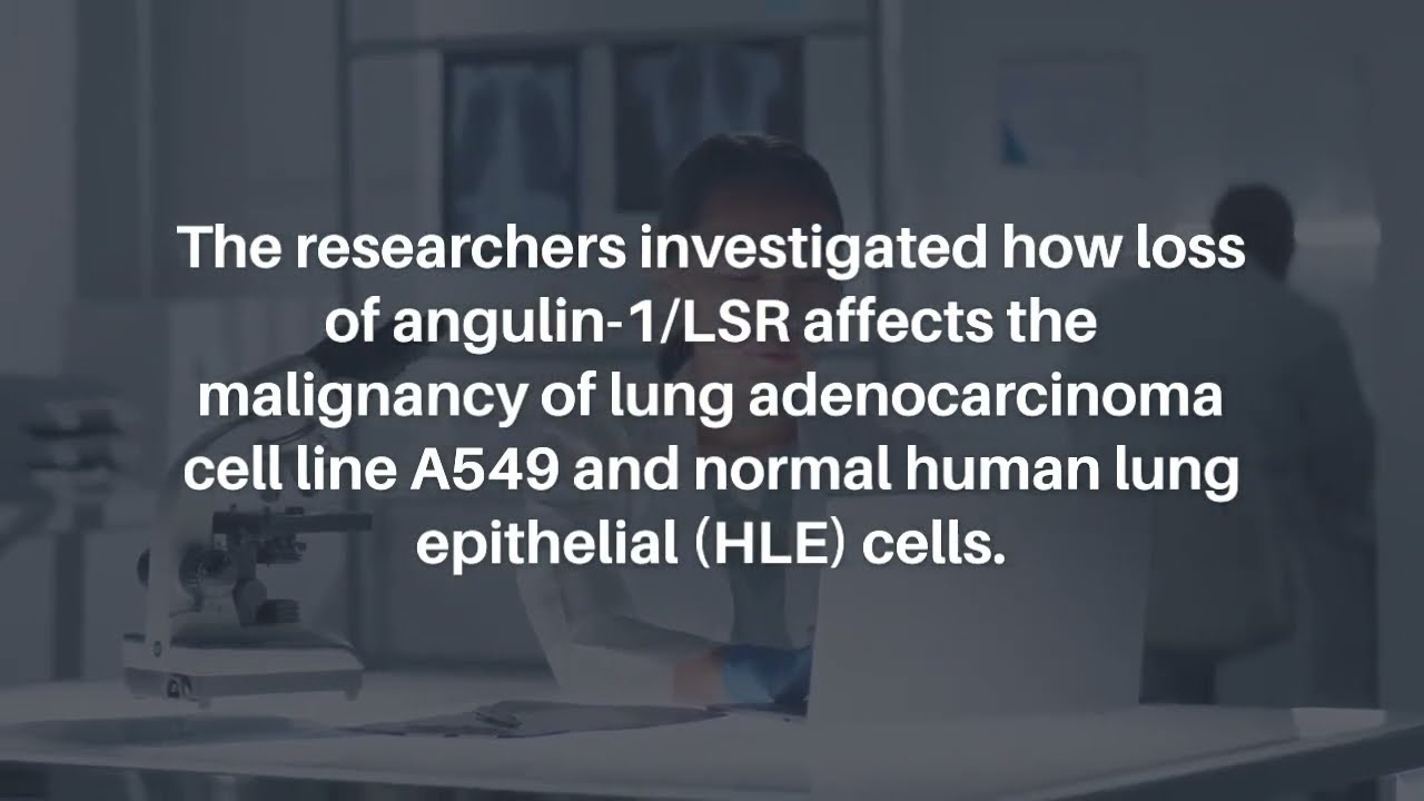 Angulin-1/LSR Downregulation Induces Malignancy in A549 Lung Adenocarcinoma Cells | Oncotarget
