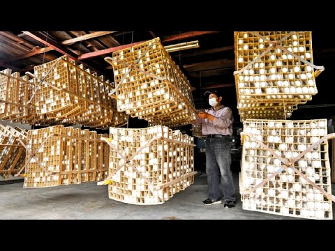 How Japanese Farming Million of SilkWorm for silk - Incredible Silkworm Production and Processing