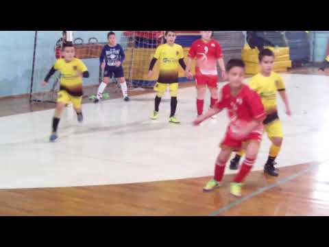 Kinder 2008 Novi Sad - Sofeks 2008 Futog