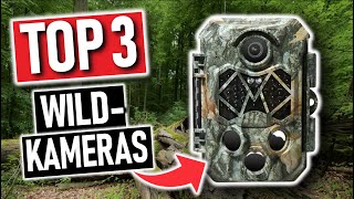 Die besten WILDKAMERAS 2024 | Top 3 Wildkameras 2024