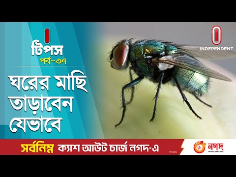 ঘরের ভেতর মাছির যন্ত্রণা থেকে মুক্তির উপায় | Flies | Hacks | Household