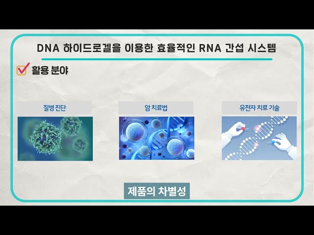 DNA 하이드로겔을 이용한 효율적인 RNA 간섭 시스템