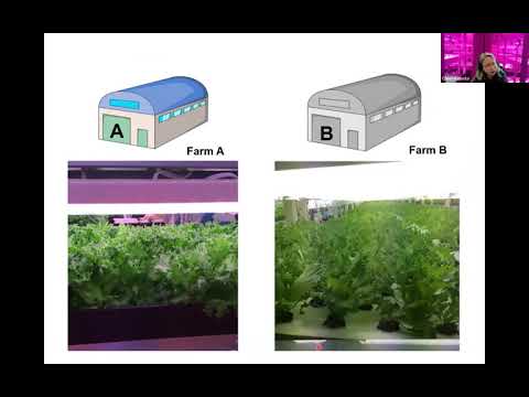 #61 - Air Contaminants in Indoor Vertical Farms: A case study on VOC effects on crop productivity in two commercial farms