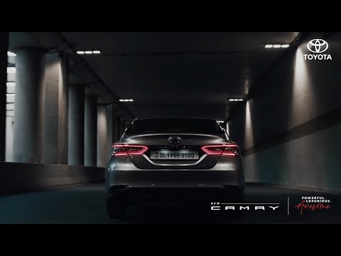 Camry | Virdulys | CR 1278 | Standard | 1630 W | 1.2 L | Nerūdijantis plienas | 360° rotational base | Nerūdijantis plienas video