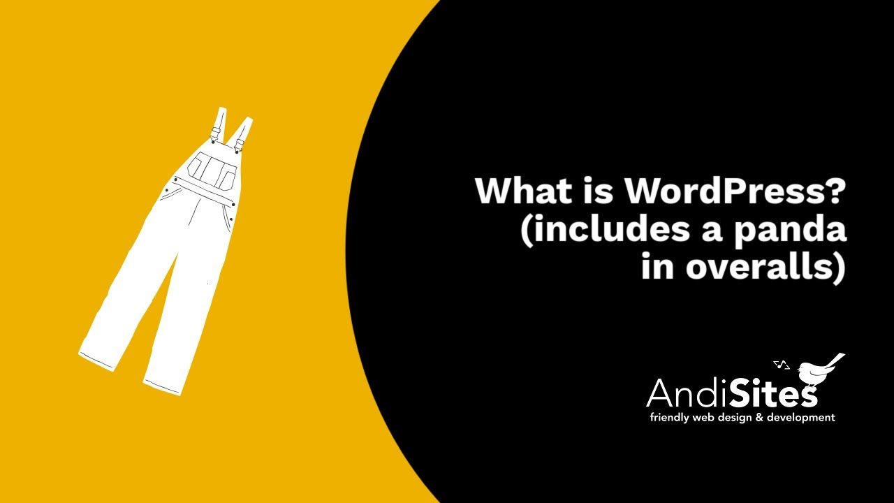 What is WordPress? (includes a panda in overalls)