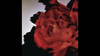 Download lagu John Legend - All of Me (Radio Edit) mp3