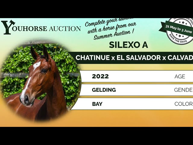 Silexo A