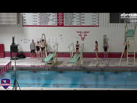 Bentley Women's Swimming Highlights from the 2023 Northeast-10 Championships thumbnail