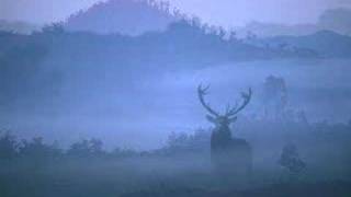 Bert Jansch - Moonshine