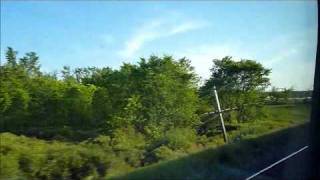 The Field - A Paw in My Face