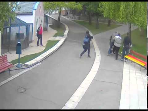Vuk napao devojcicu u Zoo Vrtu u Beogradu 10.05.2014