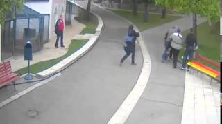 Vuk napao devojcicu u Zoo Vrtu u Beogradu 10.05.2014