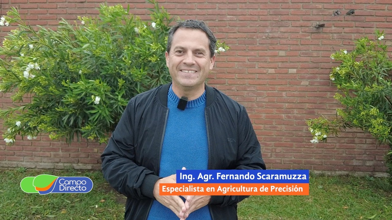 Campo Directo | Calidad de siembra, claves para cuidar el potencial de rinde