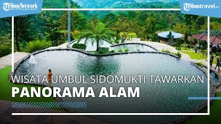 Wisata Umbul Sidomukti di Semarang, Tawarkan Sensasi Berenang dengan Panorama Alam yang Menakjubkan