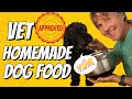 Vet Approved Homemade Dog Food: Good for Digestive Issues