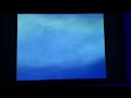Finding Nemo Righteous In Full Screen