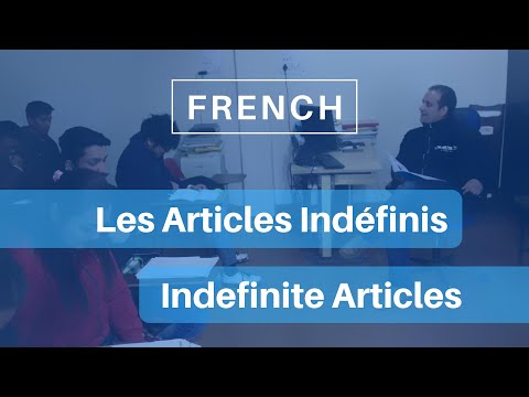 Les Articles Indefinis/The Indefinite Articles