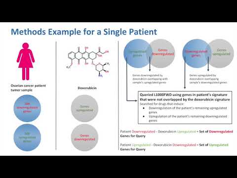 Integrative Analysis to Suggest Combination Therapies for Ovarian Cancer