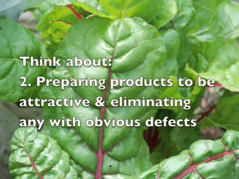 download lagu mp3 mp4 How To Exhibit Vegetables, download lagu How To Exhibit Vegetables gratis, unduh video klip How To Exhibit Vegetables