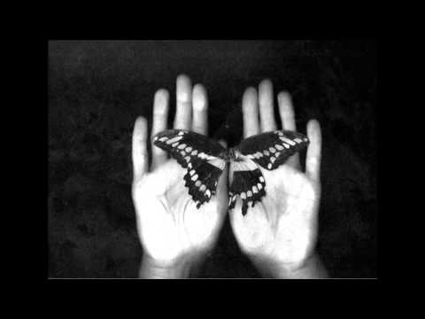 Μ.Β.Ψ. - Πετα.αλλού.δες