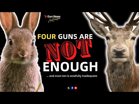 4 GUNS ARE NOT ENOUGH: Here’s why the NSW limits won’t work