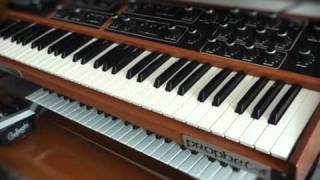 Prophet 6 (Custom Sequential Circuits Prophet 600)