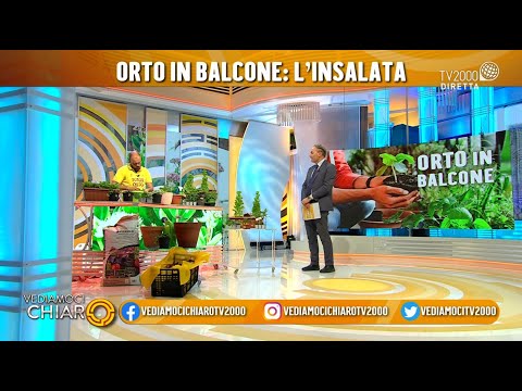 Vediamoci chiaro, 26 aprile 2021 - "Orto in balcone"