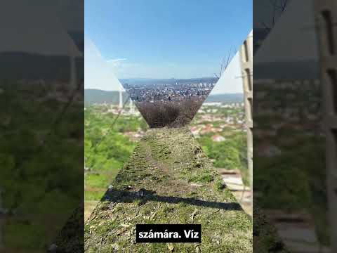 YouTube videó