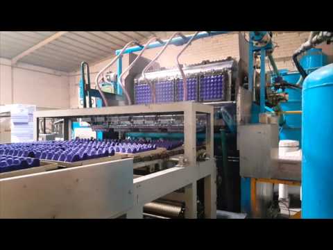 Egg Tray Making Machine